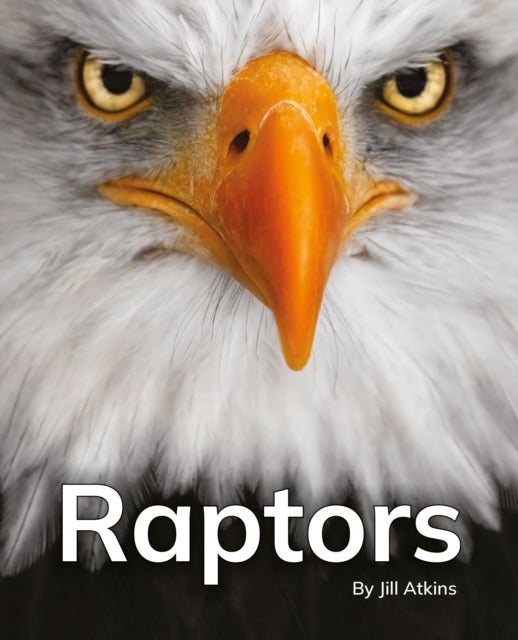 Raptors - Phonics Phase 5