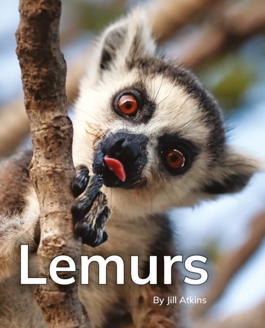 Lemurs - Phonics Phase 5