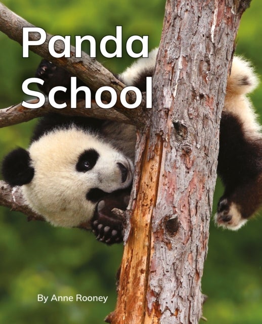 Panda School - Phonics Phase 5