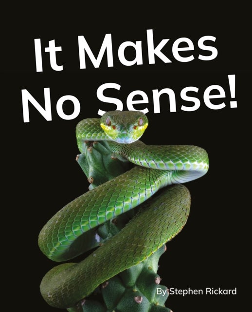 It Makes No Sense! - Phonics Phase 5