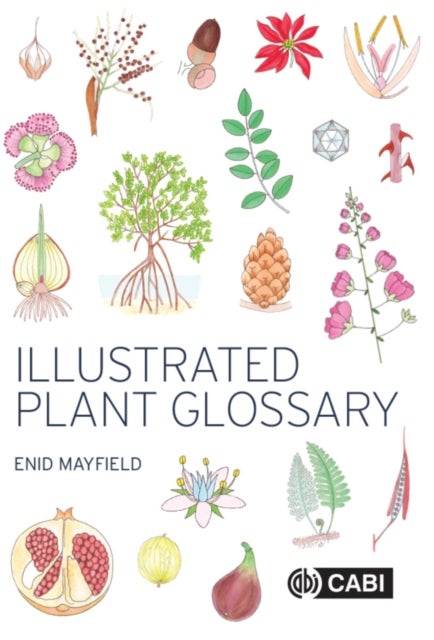 Illustrated Plant Glossary