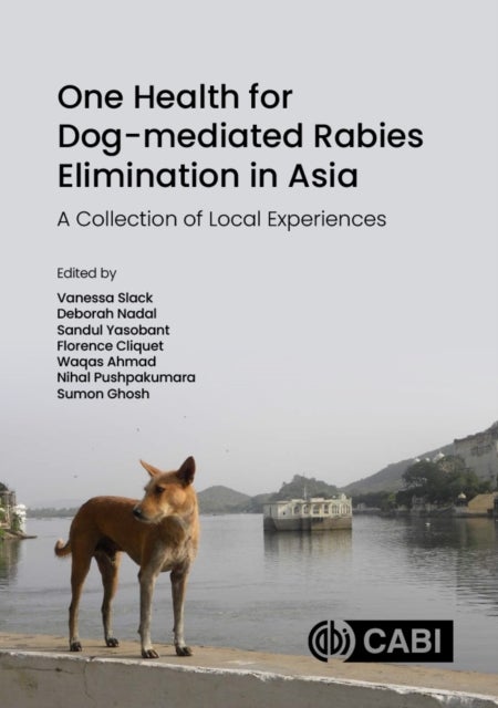 One Health for Dog-mediated Rabies Elimination in Asia - A Collection of Local Experiences