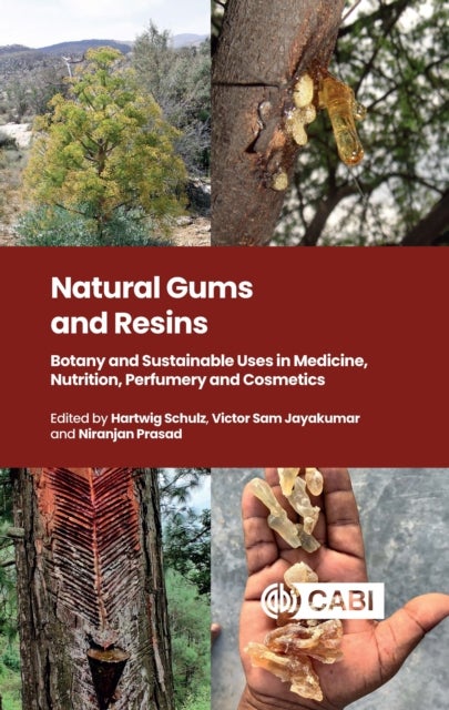 Natural Gums and Resins - Botany and Sustainable Uses in Medicine, Nutrition, Perfumery and Cosmetics