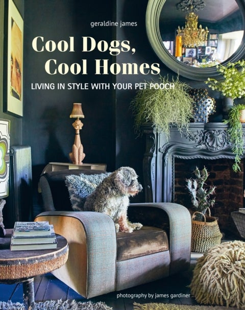 Cool Dogs, Cool Homes - Living in Style with Your Pet Pooch