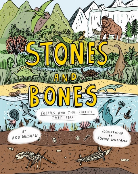 Stones and Bones - Fossils and the stories they tell