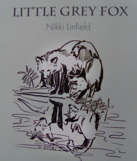 Little Grey Fox - Wondered why things were so hard