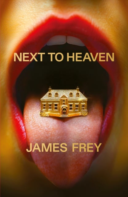 Next to Heaven - The PROVOCATIVE new novel from BESTSELLING author of A Million Little Pieces