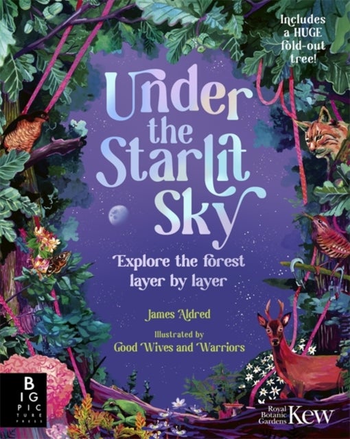 Under the Starlit Sky - Explore the Forest Layer By Layer