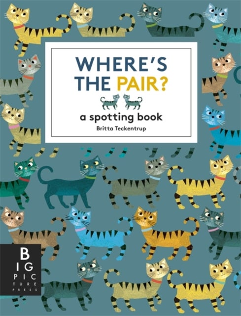 Where's the Pair? - A Spotting Book