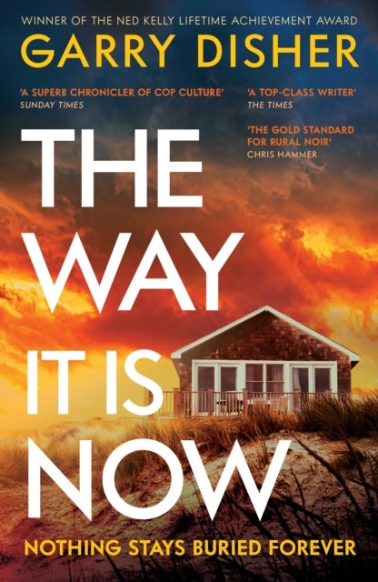The Way It Is Now - a totally gripping and unputdownable Australian crime thriller