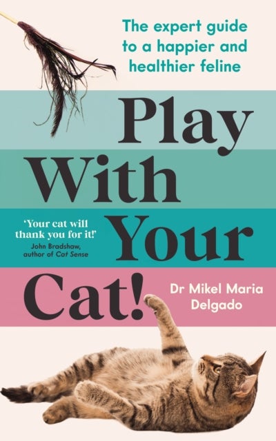 Play With Your Cat! - The expert guide to a happier and healthier feline