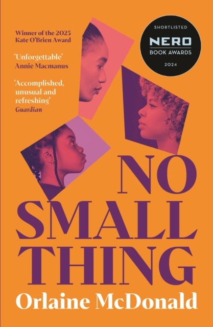 No Small Thing - 'One of the best debut novels I’ve read in recent years' Bernardine Evaristo