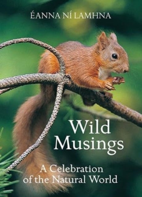 Wild Musings - A Celebration of the Natural World