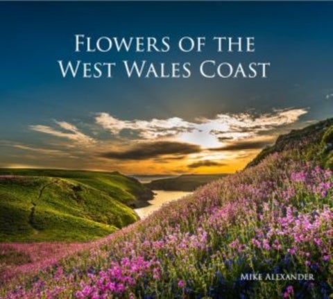 Flowers of the West Wales Coast