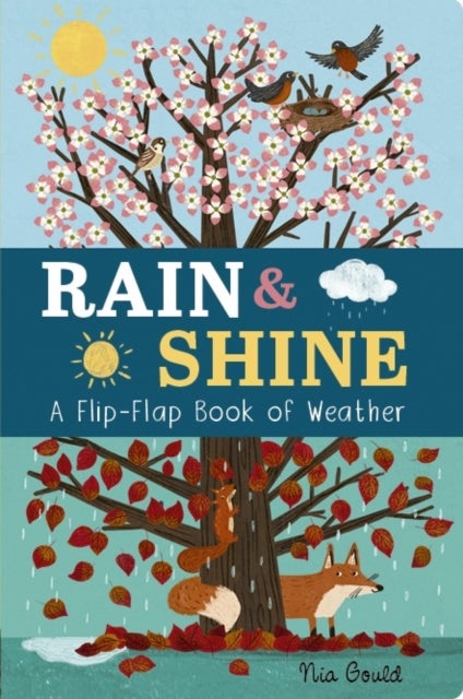 Rain & Shine: A Flip-Flap Book of Weather - A Flip-Flap Book of Weather