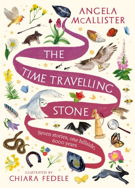 The Time Travelling Stone - Seven stories, one hillside, 6000 years