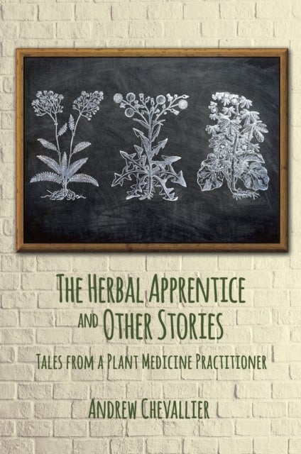 The Herbal Apprentice and Other Stories - Tales from a Plant Medicine Practitioner