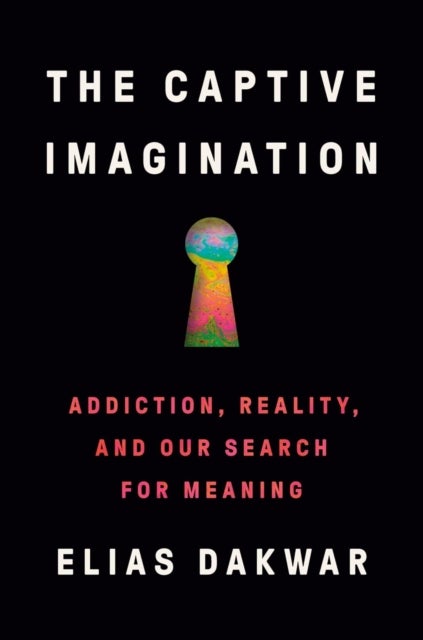 The Captive Imagination - Addiction, Reality and our Search for Meaning