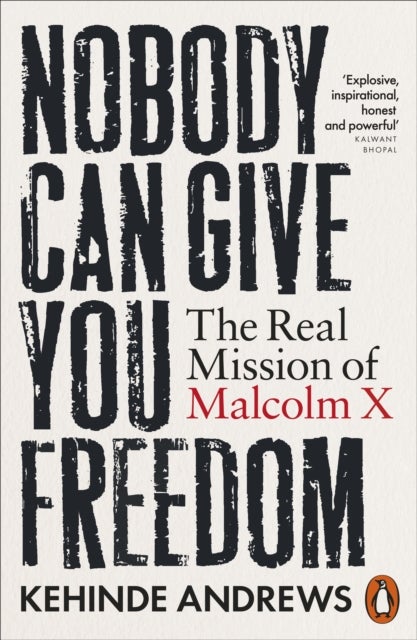 Nobody Can Give You Freedom - The Real Mission of Malcolm X