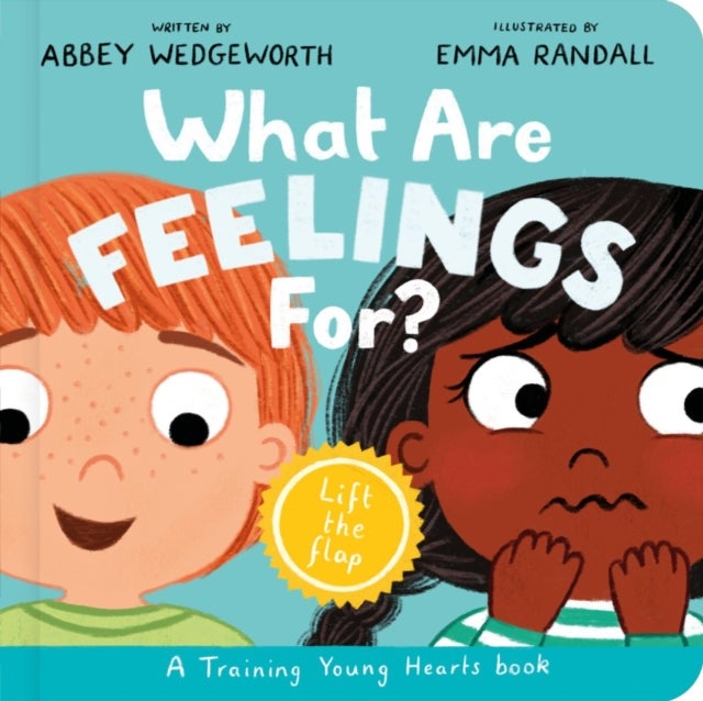 What Are Feelings For? Board Book - A Lift-the-Flap Board Book