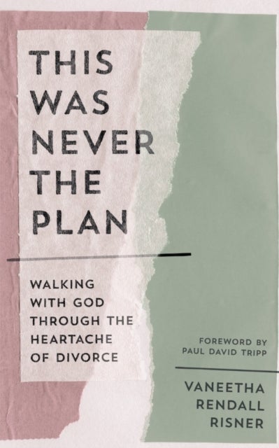 This Was Never the Plan - Walking with God Through the Heartache of Divorce