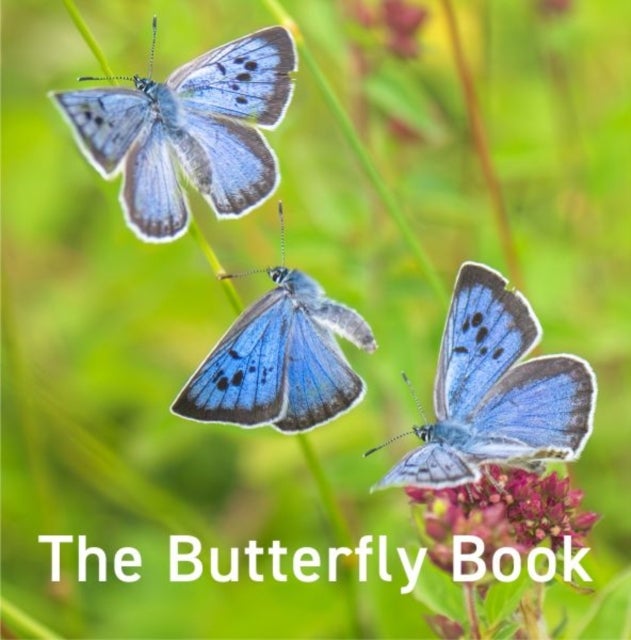 Nature Book Series: The Butterfly Book