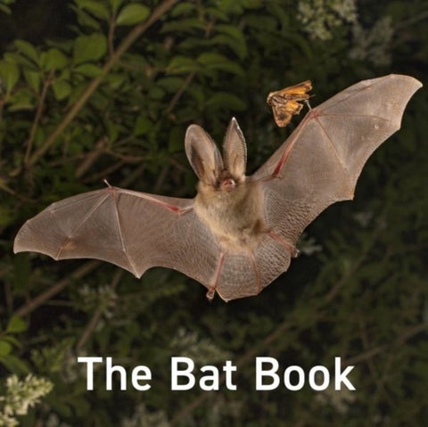 The Bat Book