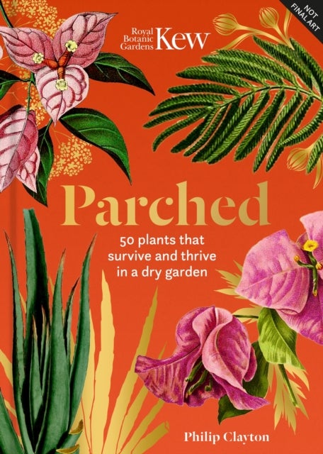 Parched - 50 plants that thrive and survive in a dry garden