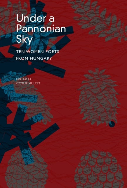 Under a Pannonian Sky - Ten Women Poets from Hungary