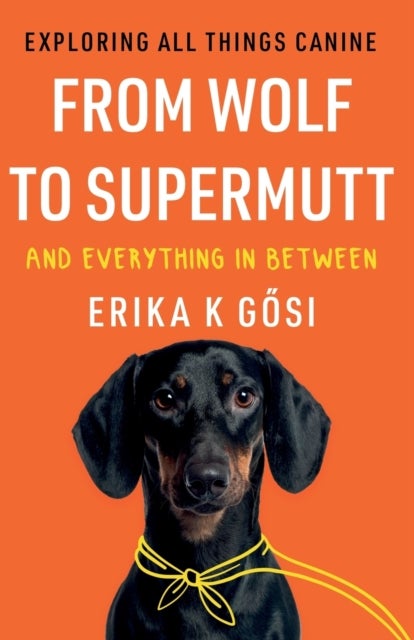From Wolf to Supermutt and Everything In Between - Exploring All Things Canine