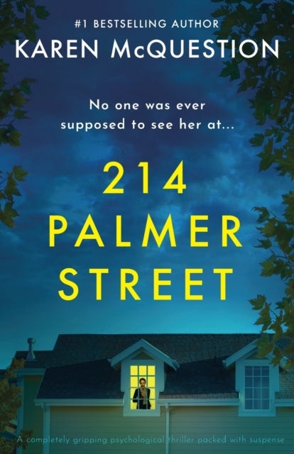 214 Palmer Street - A completely gripping psychological thriller packed with suspense