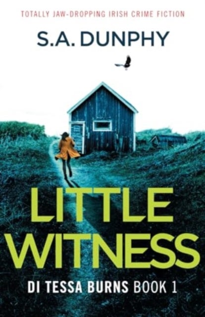 Little Witness - Totally jaw-dropping Irish crime fiction