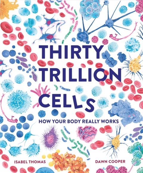 Thirty Trillion Cells - How Your Body Really Works