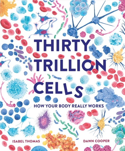 Thirty Trillion Cells - How Your Body Really Works