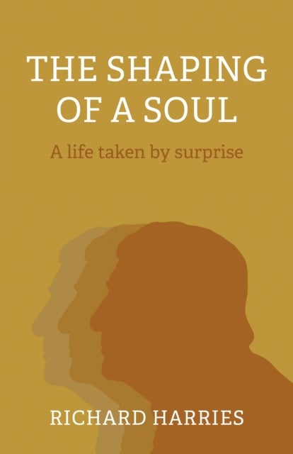 Shaping of a Soul, The - A life taken by surprise