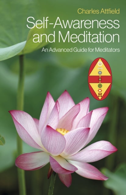 Self-Awareness and Meditation - An Advanced Guide for Meditators