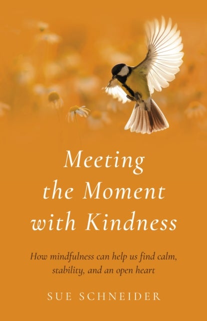 Meeting the Moment with Kindness - How mindfulness can help us find calm, stability, and an open heart