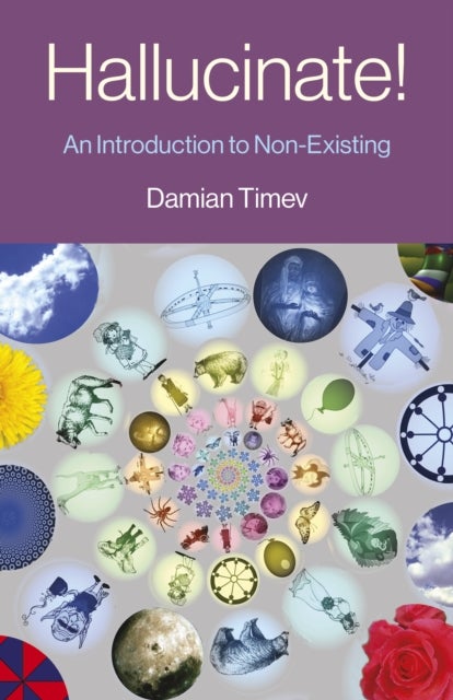 Hallucinate! - An Introduction to Non-Existing