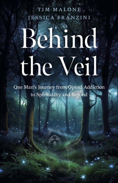 Behind the Veil - One Man's Journey from Opioid Addiction to Spirituality and Beyond