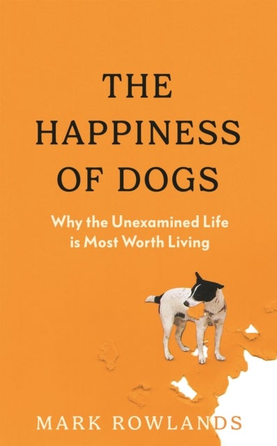 The Happiness of Dogs - Why the Unexamined Life Is Most Worth Living