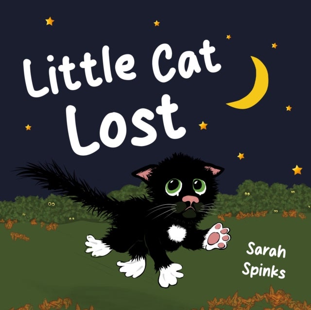 Little Cat Lost