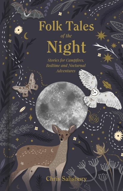 Folk Tales of the Night - Stories for Campfires, Bedtime and Nocturnal Adventures