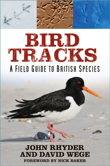 Bird Tracks - A Field Guide to British Species