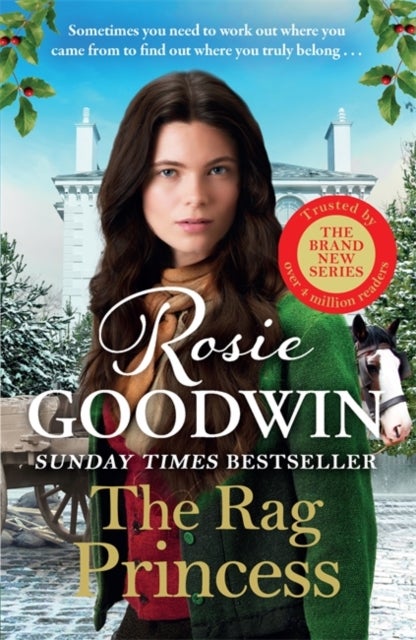 The Rag Princess - FOR MOTHER'S DAY GIVE THE GIFT OF A STORY SHE'LL NEVER FORGET WITH THE FIRST BOOK IN THE SUNDAY TIMES BESTSELLING RAGS TO RICHES SERIES
