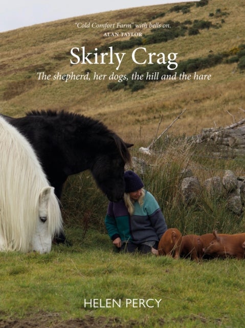 Skirly Crag - The shepherd, her dogs, the hill and the hare