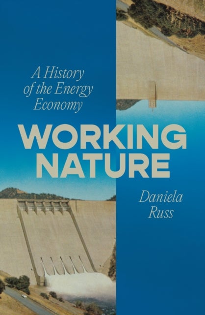 Working Nature - A History of the Energy Economy