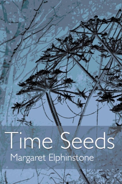 Time Seeds