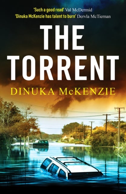 The Torrent - An unputdownable Australian crime thriller