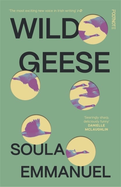 Wild Geese - the LAMBDA and GORDON BOWKER VOLCANO PRIZE winner