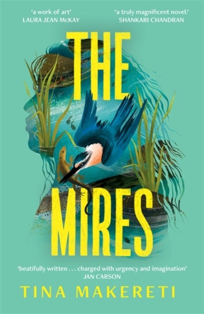 The Mires - a powerful literary page-turner set in New Zealand